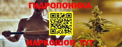 гашик Лесосибирск