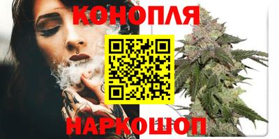 гашик Лесосибирск