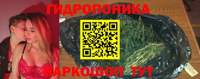 гашик Лесосибирск