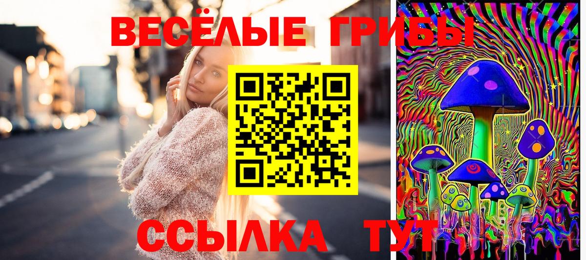 Дмитров  Псилоцибиновые грибы мухоморы  Вход с VPN 