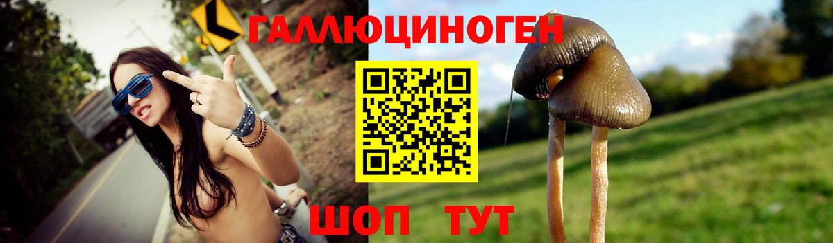Псилоцибиновые грибы Cubensis Дмитров